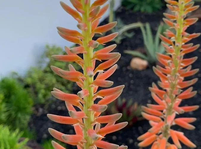 Casa Marta, Private Pool, Free Wifi