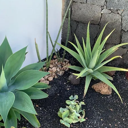 Casa Marta, Private Pool, Free Wifi *