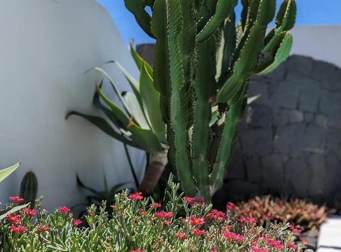 Casa Marta, Private Pool, Free Wifi Villa